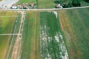 Historijski datum za farmere RS, evo kada počinju radovi na izgradnji mljekare