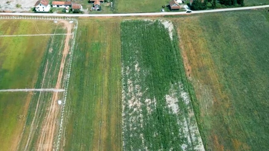 Historijski datum za farmere RS, evo kada počinju radovi na izgradnji mljekare