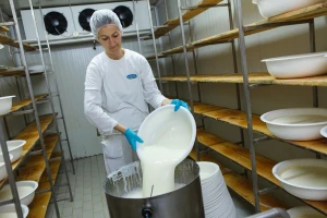 Krenuli s mljekarom od 30 kvadrata, a danas imaju preko 100 zaposlenih