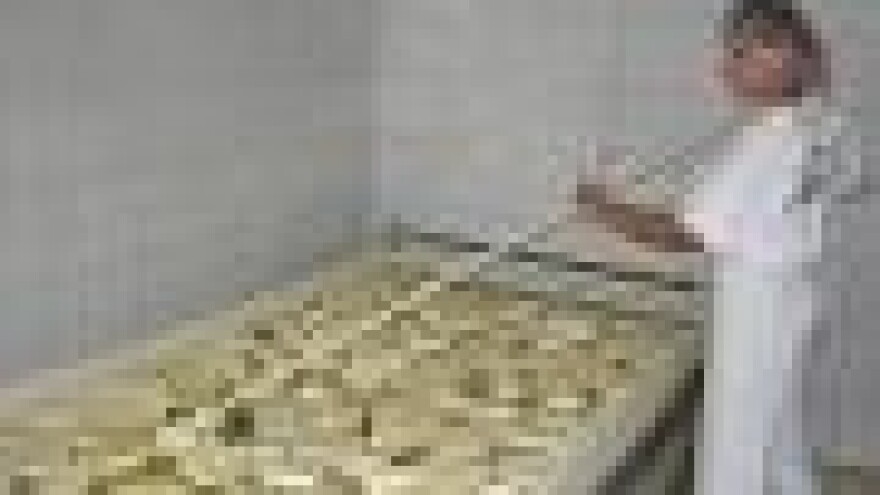 Desinić: U 2009. gradnja mljekare za preradu 30.000l na dan