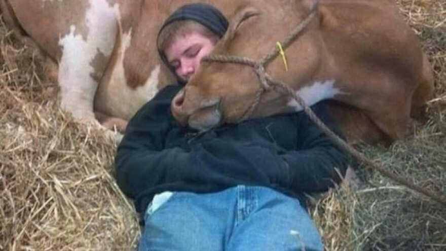 Hrvatskim stočarima najmanje u cijeloj EU