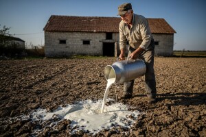 Mljekare od srijede bez mlijeka, farmeri će ga radije prolijevati?