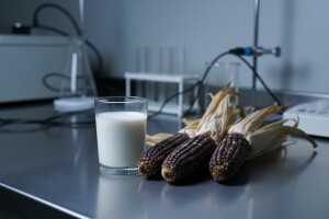 Mljekare su i zaslužile aflatoksine