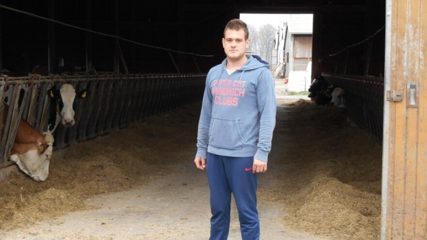 Rasprodaja muznih krava i visokosteonih junica