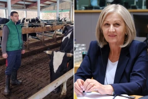 Mljekari pisali Borjani Krišto: Traže hitnu zaštitu domaće proizvodnje