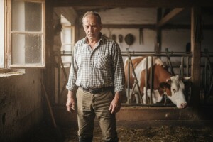 Mljekari protiv viših cijena mlijeka