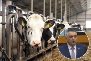 Mljekari treći mjesec u krizi, Minić najavio pravilnik i pozvao da ne prosipaju mlijeko