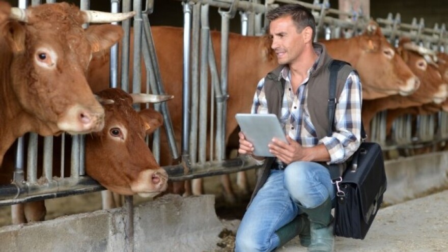 Na naplatu dolaze svi naši mljekarski promašaji