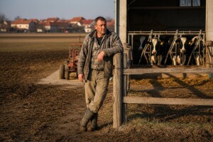 Mljekarski biznis zapinje zbog nelogičnosti Prostornog plana