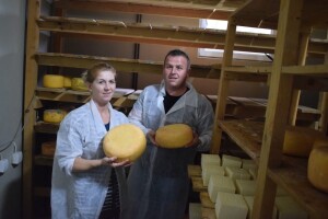 Mljekarske farme: Ima prostora za optimizam i spremnosti poduzetnika da se domaći proizvodi nametnu kao prvi izbor bh kupaca
