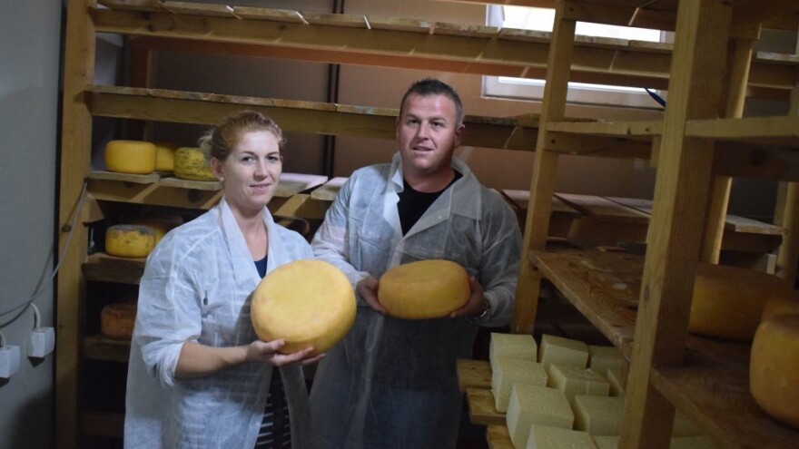 Mljekarske farme: Ima prostora za optimizam i spremnosti poduzetnika da se domaći proizvodi nametnu kao prvi izbor bh kupaca