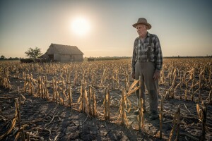 Mljekarstvo je na izdisaju