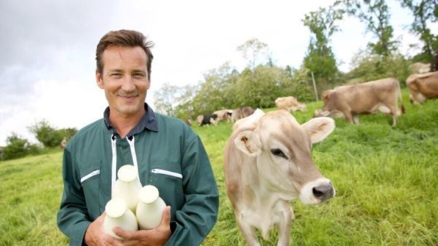 Plava kravica - znak domaćeg i zdravog mlijeka