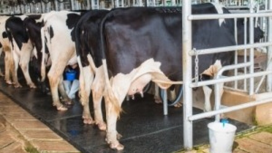 Iz IPARD-a 2 mil. kuna za mljekarski sektor