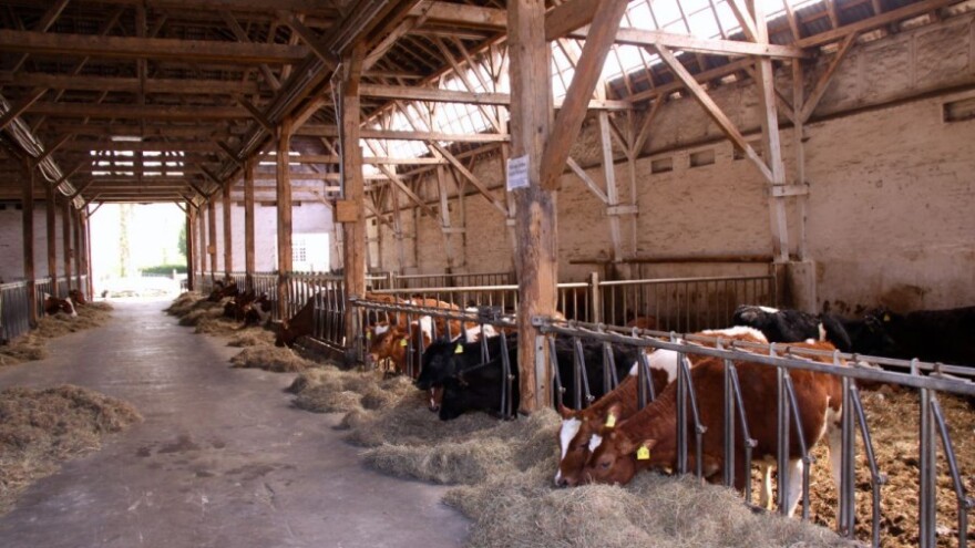 Zastupnici za rješenje problema u mljekarstvu!