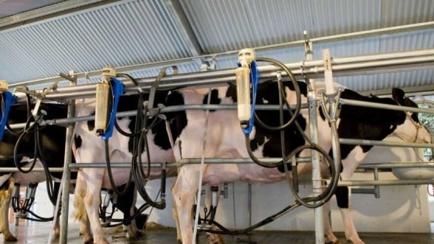 Još jedan uspjeh razvojne agencije Vidra