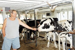 Koliko je ugrožen mljekarski sektor u BiH