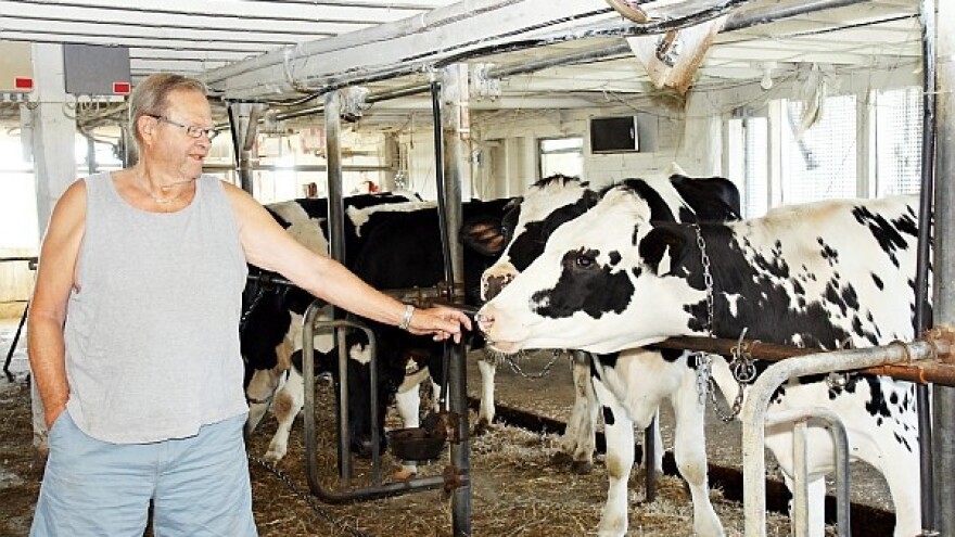 Koliko je ugrožen mljekarski sektor u BiH