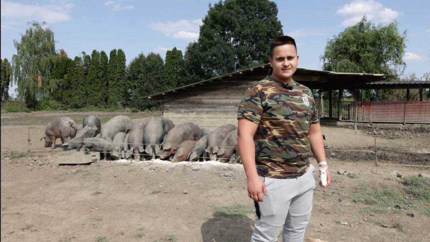 Jurica Štefanko iliti "Mali mesar" - lice s osječke tržnice koje osvaja kvalitetom fajferice