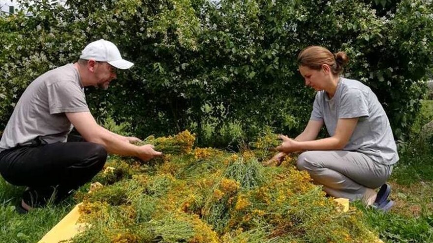 Porodica Beširević krenula sa ćurekotovim uljem, danas su u prirodnoj kozmetici