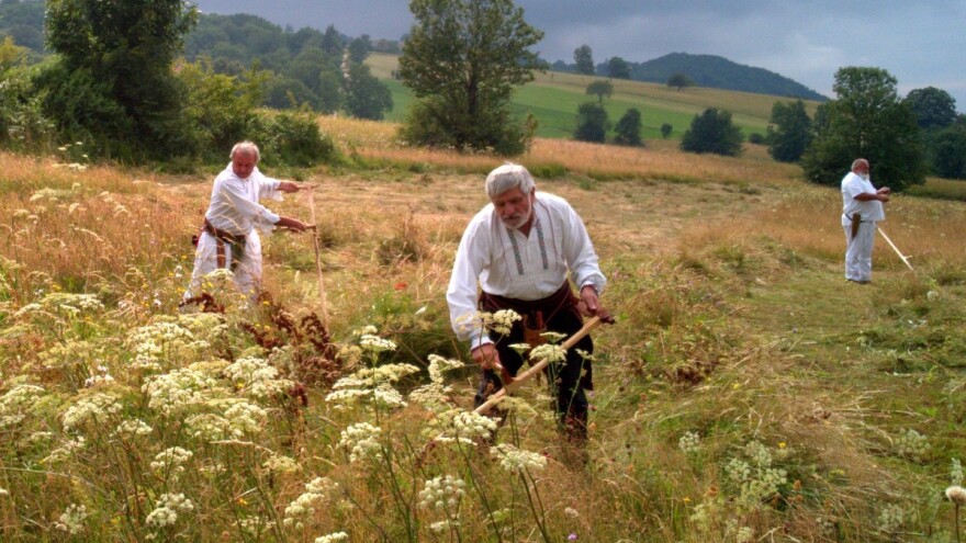 Moba na selu - koristan i važan oblik povezivanja zajednice