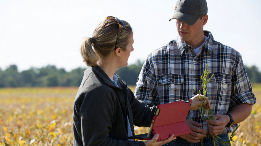 Besplatna provjera meteoroloških podataka i procjena rizika za poljoprivrednike