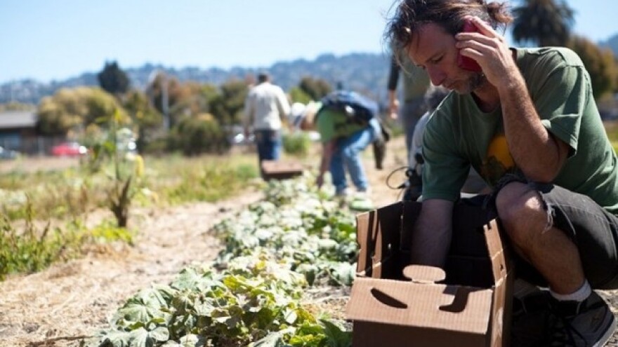 Umesto kombajna - analitički softveri!