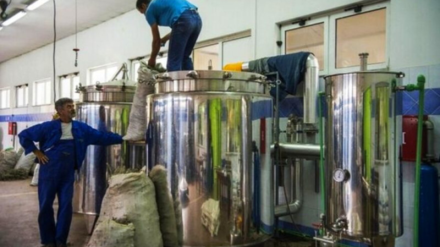 Već idućeg ljeta dovoljan broj destilerija!