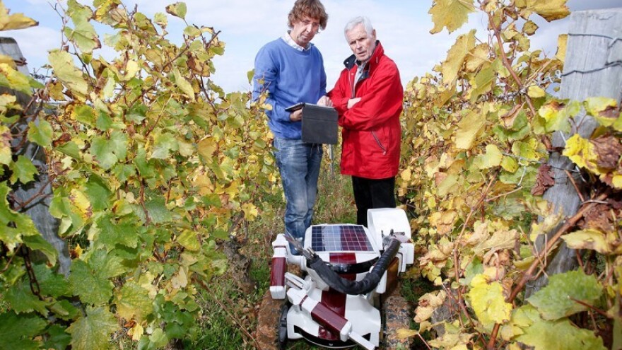 Prva potpuno automatizirana farma?