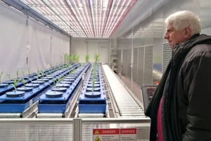 U budućnosti će vrijeme pozitivno utjecati na prinos pšenice, a negativno na kukuruz?