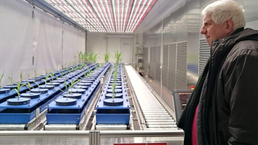 U budućnosti će vrijeme pozitivno utjecati na prinos pšenice, a negativno na kukuruz?