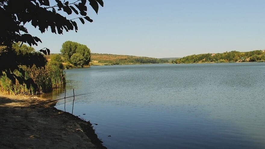 Sve manje ribe na jednom od najlepših jezera Fruške gore