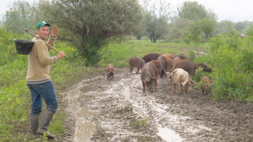 U pripremi isplata predujma poljoprivrednicima!