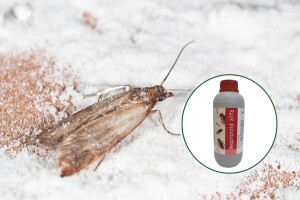 Uspješno se riješite štetnika u skladištima i domaćinstvima!