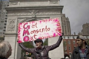 Monsanto je izgubio bitku u Europi