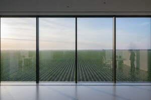 Monsanto prodan Bayeru - kontrola 25% tržišta!