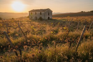 Moralić odustao od Hepoka