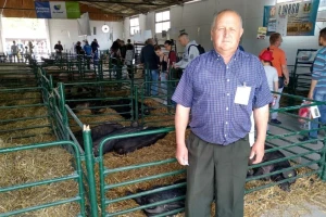 Moravka svinja pred istrebljenjem: Zašto je treba gajiti?!