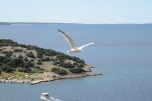 Hrvatska zakasnila, Jadran je sada europsko more
