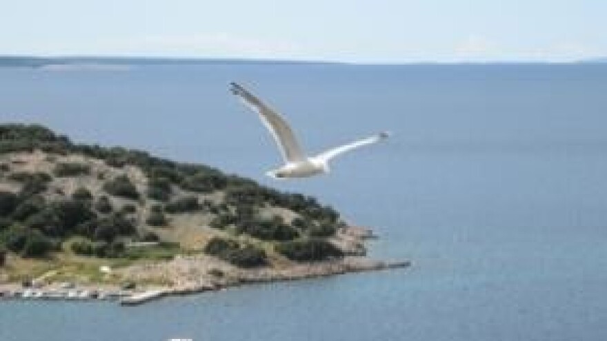 Hrvatska zakasnila, Jadran je sada europsko more