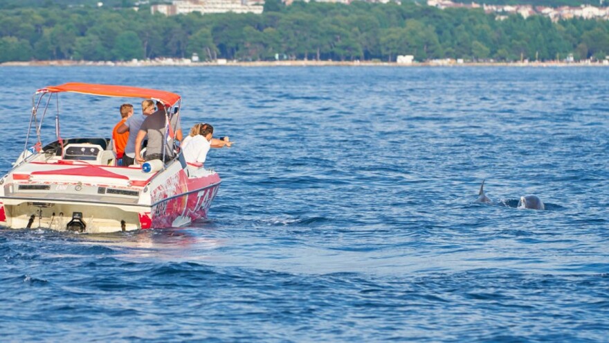 Na pomolu je nepopravljiva šteta za europska mora?