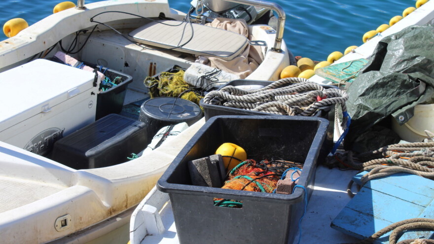 Kako do potpore za privremeni prestanak ribolovnih aktivnosti sardelarama?