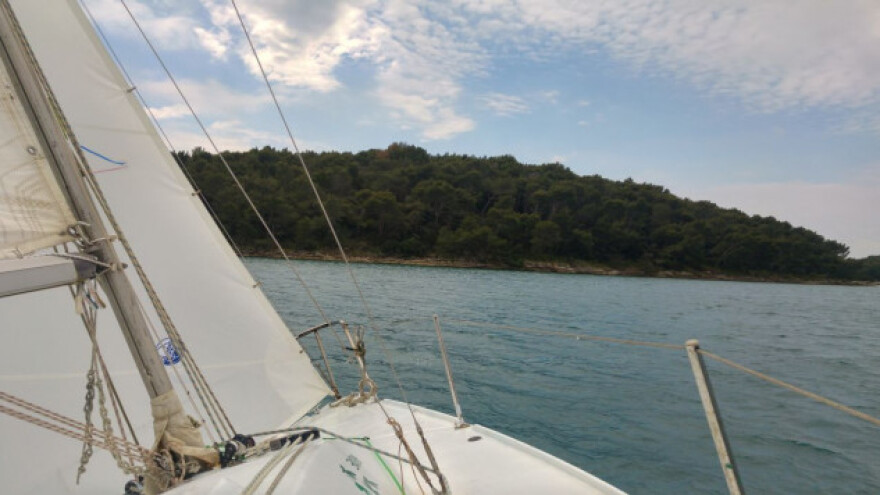 Rebraši prijete sitnoj plavoj ribi u Jadranu