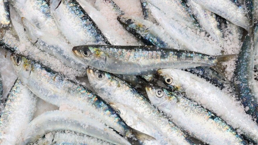 Prijedlog pravilnika o uvjetima, kriterijima i načinu dodjele potpore u okviru mjere I.9.