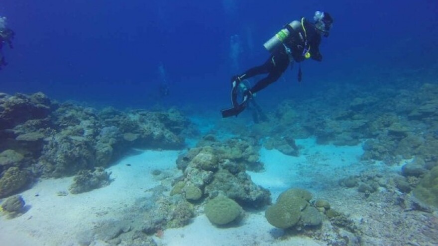 Manje poznajemo morsko dno od mjeseca