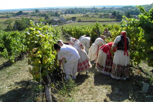 LAG Moslavina - prvorangirani LAG u Hrvatskoj na mjeri Leader