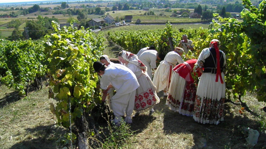 LAG Moslavina - prvorangirani LAG u Hrvatskoj na mjeri Leader