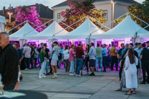 MoslaVina, jedinstveni festival izvornih hrvatskih sorti vina vraća se u Kutinu