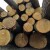 Objavljen oglas za prodaju šumskih drvnih sortimenata