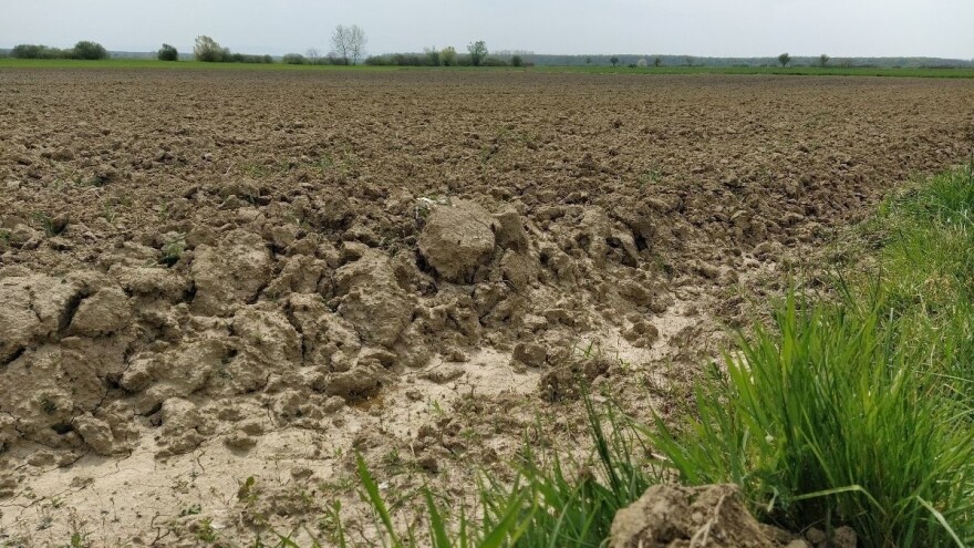 OPG-ima koji su u posjedu državne zemlje omogućiti zakup na barem 20 godina?